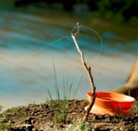 Charleville - Mangalore Warrego River Fishing Spot