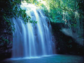 Zillie Falls - Holiday Byron Bay 0