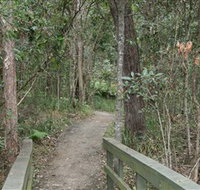 Springwood Conservation Park - Holiday Byron Bay