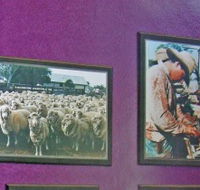 Charleville Photographic Display