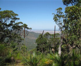 Zamia Walk - Holiday Byron Bay 0