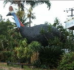 The Big Cassowary - Holiday Byron Bay