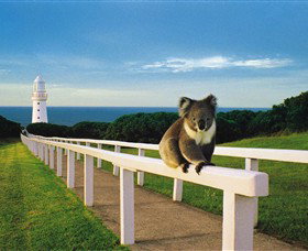 Cape Otway Lightstation - Holiday Byron Bay 0