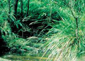 Blackwood VIC Holiday Byron Bay