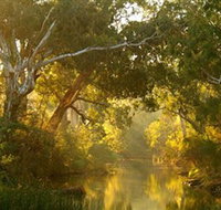 Brimbank Park - Holiday Byron Bay