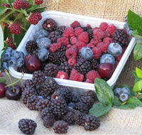 Bright Berry Farms