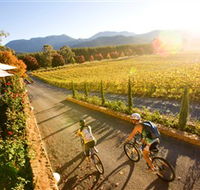 Boyntons Feathertop Winery