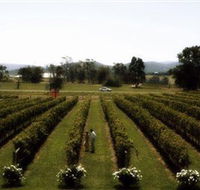 Rochford Wines