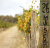 Stanton and Killeen Wines