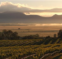 Montara Wines