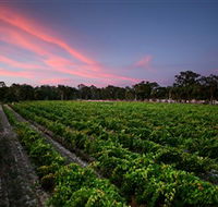 Amherst Winery - Holiday Byron Bay
