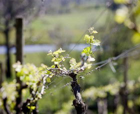 Lindemans Karadoc Winery - Holiday Byron Bay 0