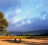Mount Avoca - Holiday Byron Bay