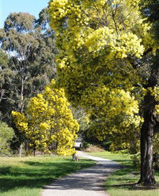 Wattle Park - Holiday Byron Bay 0