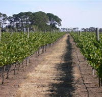 Mount Beckworth Wines - Holiday Byron Bay