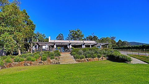 GREENSTONE VINEYARDS - Holiday Byron Bay 1