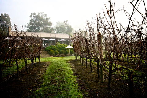 GREENSTONE VINEYARDS - Holiday Byron Bay 4