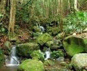 Budderoo National Park - Holiday Byron Bay 0