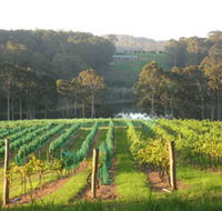 Tilba Valley Wines - Holiday Byron Bay