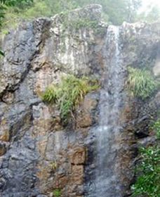 Wedding Bells Forest Drive - Holiday Byron Bay 0