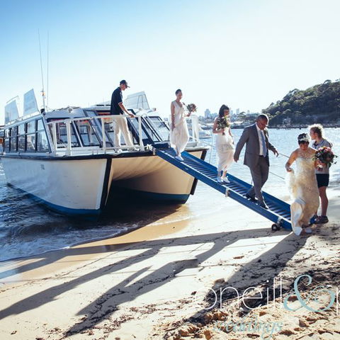H2O Maxi Taxis - Holiday Byron Bay 3