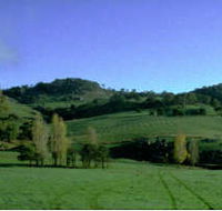 McIvor Estate