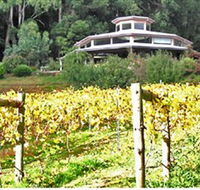 Peveril Vineyard/Beechy Berries - Holiday Byron Bay