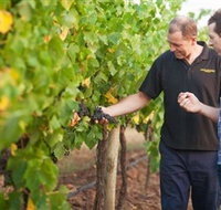 Fratin Brothers Vineyard