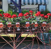 Van Loon's Nursery