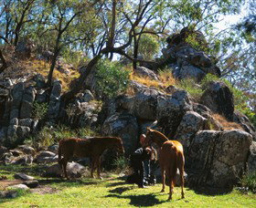 Holiday Byron Bay