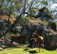 Coomba Falls - Holiday Byron Bay