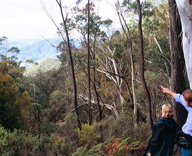 Hume And Hovell Walking Track - Holiday Byron Bay 5
