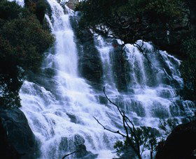 Hume And Hovell Walking Track - Holiday Byron Bay 4