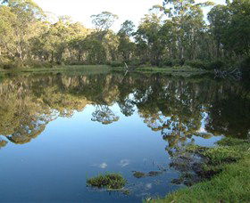 Hume And Hovell Walking Track - Holiday Byron Bay 6