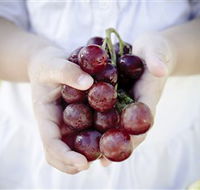 Granitevale  Estate Winery - Holiday Byron Bay