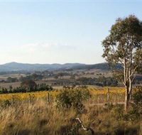 Yarrh Wines - Holiday Byron Bay