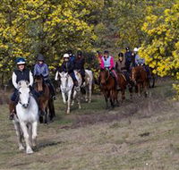 Burnelee Excursions on Horseback - Holiday Byron Bay