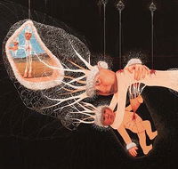 MAY SPACE - Holiday Byron Bay