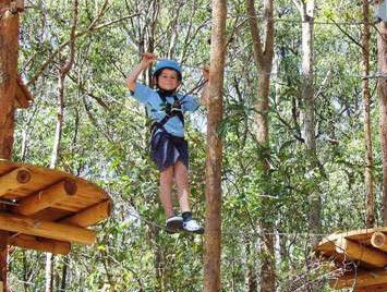 TreeTops Newcastle - Holiday Byron Bay 0
