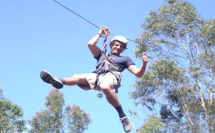 TreeTops Newcastle - Holiday Byron Bay 1
