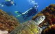 Byron Bay Dive Centre - thumb 3