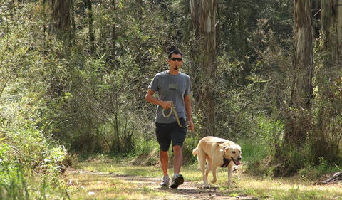 Second Ponds Creek Walk - Holiday Byron Bay 3
