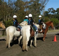 Darkes Forest Riding Ranch