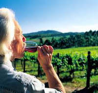 Ashton Hills Vineyard - Holiday Byron Bay