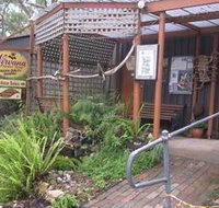 Nirvana Organic Produce and Farm - Holiday Byron Bay