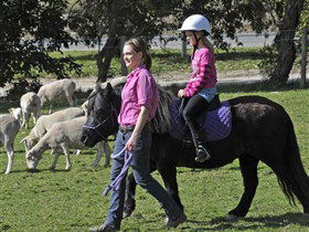 Hahndorf Farm Barn - Holiday Byron Bay 2