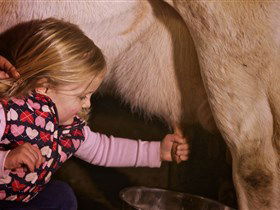 Hahndorf Farm Barn - Holiday Byron Bay 1