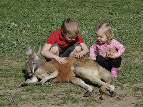 Hahndorf Farm Barn - Holiday Byron Bay 3
