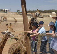 Monarto Open Range Zoo - Holiday Byron Bay