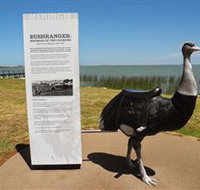 Birdman of the Coorong